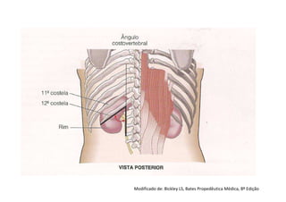 Modificado de: Bickley LS, Bates Propedêutica Médica, 8º Edição
 