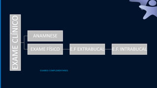 EXAMES COMPLEMENTARES
 