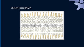 ODONTOGRAMA
 
