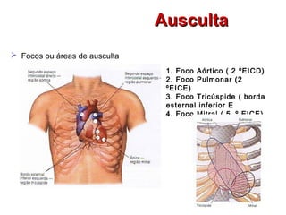 AuscultaAusculta
 Focos ou áreas de ausculta
1. Foco Aórtico ( 2 ºEICD)
2. Foco Pulmonar (2
ºEICE)
3. Foco Tricúspide ( borda
esternal inferior E
4. Foco Mitral ( 5 º EICE)
 