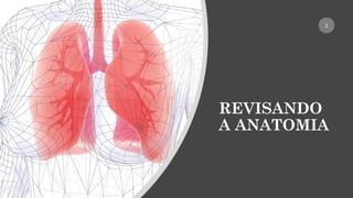 REVISANDO
A ANATOMIA
2
 