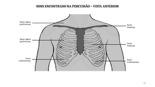 29
SONS ENCONTRADO NA PERCUSSÃO – VISTA ANTERIOR
 