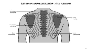 30
SONS ENCONTRADO NA PERCUSSÃO – VISTA POSTERIOR
 