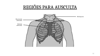 33
REGIÕES PARA AUSCULTA
 