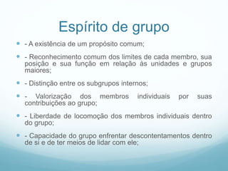 Espírito de grupo
 - A existência de um propósito comum;
 - Reconhecimento comum dos limites de cada membro, sua
posição e sua função em relação às unidades e grupos
maiores;
 - Distinção entre os subgrupos internos;
 - Valorização dos membros individuais por suas
contribuições ao grupo;
 - Liberdade de locomoção dos membros individuais dentro
do grupo;
 - Capacidade do grupo enfrentar descontentamentos dentro
de si e de ter meios de lidar com ele;
 