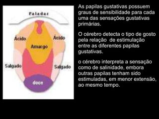 As papilas gustativas possuem
graus de sensibilidade para cada
uma das sensações gustativas
primárias.
O cérebro detecta o tipo de gosto
pela relação de estimulação
entre as diferentes papilas
gustativas.
o cérebro interpreta a sensação
como de salinidade, embora
outras papilas tenham sido
estimuladas, em menor extensão,
ao mesmo tempo.
 