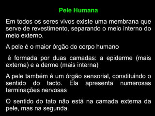 Pele Humana
Em todos os seres vivos existe uma membrana que
serve de revestimento, separando o meio interno do
meio externo.
A pele é o maior órgão do corpo humano
é formada por duas camadas: a epiderme (mais
externa) e a derme (mais interna)
A pele também é um órgão sensorial, constituindo o
sentido do tacto. Ela apresenta numerosas
terminações nervosas
O sentido do tato não está na camada externa da
pele, mas na segunda.
 