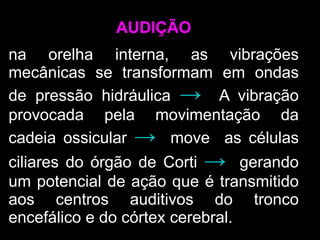 AUDIÇÃO
na orelha interna, as vibrações
mecânicas se transformam em ondas
de pressão hidráulica → A vibração
provocada pela movimentação da
cadeia ossicular → move as células
ciliares do órgão de Corti → gerando
um potencial de ação que é transmitido
aos centros auditivos do tronco
encefálico e do córtex cerebral.
 