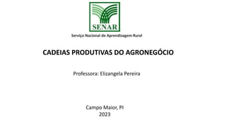 Serviço Nacional de Aprendizagem Rural
CADEIAS PRODUTIVAS DO AGRONEGÓCIO
Professora: Elizangela Pereira
Campo Maior, PI
2023
 
