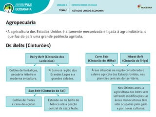 Agropecuária
•	A agricultura dos Estados Unidos é altamente mecanizada e ligada à agroindústria, o
que faz do país uma grande potência agrícola.
Os Belts (Cinturões)
Dairy Belt (Cinturão dos
Laticínios)
Wheat Belt
(Cinturão do Trigo)
Corn Belt
(Cin­turão do Milho)
Sun Belt (Cinturão do Sol)
Próximo à região dos
Grandes Lagos e a
grandes cidades.
Áreas situadas na região considera­da o
celeiro agrícola dos Estados Unidos, nas
planícies centrais do território.
Cultivo de frutas
e cana-de-açúcar.
Estende-se do Golfo do
México até a porção
central da costa leste.
Cultivo de hortaliças,
pecuária leiteira e
moder­na avicultura.
Nos últimos anos, a
agricultura dos belts vem
so­frendo modificações: as
áreas monocultoras têm
sido ocupadas pelo gado
e por novas culturas.
UNIDADE 4
TEMA 1 ESTADOS UNIDOS: ECONOMIA
GEOGRAFIA
ESTADOS UNIDOS E CANADÁ
 
