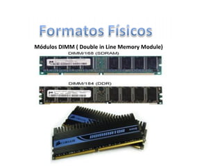 Módulos DIMM ( Double in Line Memory Module)
 