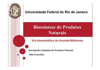Introdução à Química de Produtos Naturais
Alda Ernestina
1
Universidade Federal do Rio de Janeiro
Biossíntese de Produtos
Naturais
Via biossintética do Acetato-Malonato
 
