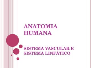 ANATOMIA HUMANA SISTEMA VASCULAR E SISTEMA LINFÁTICO 