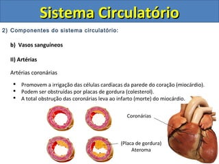 2) Componentes do sistema circulatório:
b) Vasos sanguíneos
II) Artérias
Artérias coronárias
 Promovem a irrigação das células cardíacas da parede do coração (miocárdio).
 Podem ser obstruídas por placas de gordura (colesterol).
 A total obstrução das coronárias leva ao infarto (morte) do miocárdio.
Sistema CirculatórioSistema Circulatório
Coronárias
(Placa de gordura)
Ateroma
 