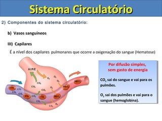 2) Componentes do sistema circulatório:
b) Vasos sanguíneos
III) Capilares
É a nível dos capilares pulmonares que ocorre a oxigenação do sangue (Hematose)
Sistema CirculatórioSistema Circulatório
Por difusão simples,
sem gasto de energia
CO2 sai do sangue e vai para os
pulmões.
O2 sai dos pulmões e vai para o
sangue (hemoglobina).
Por difusão simples,
sem gasto de energia
CO2 sai do sangue e vai para os
pulmões.
O2 sai dos pulmões e vai para o
sangue (hemoglobina).
 