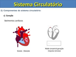 2) Componentes do sistema circulatório:
c) Coração
Batimentos cardíacos
Sistema CirculatórioSistema Circulatório
Sístole - Diástole
Nódo sinoatrial geração
impulso nervoso
 