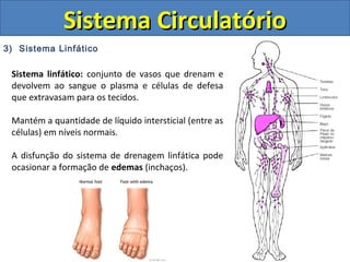 3) Sistema Linfático
Sistema CirculatórioSistema Circulatório
Sistema linfático: conjunto de vasos que drenam e
devolvem ao sangue o plasma e células de defesa
que extravasam para os tecidos.
Mantém a quantidade de líquido intersticial (entre as
células) em níveis normais.
A disfunção do sistema de drenagem linfática pode
ocasionar a formação de edemas (inchaços).
 
