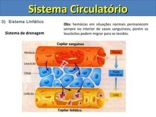 3) Sistema Linfático
Sistema CirculatórioSistema Circulatório
Sistema de drenagem
Obs: hemácias em situações normais permanecem
sempre no interior de vasos sanguíneos; porém os
leucócitos podem migrar para os tecidos.
 