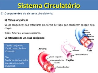 2) Componentes do sistema circulatório:
b) Vasos sanguíneos
Vasos sanguíneos são estruturas em forma de tubo que conduzem sangue pelo
corpo.
Tipos: Artérias, Veias e capilares.
Constituição de um vaso sanguíneo
Sistema CirculatórioSistema Circulatório
-Tecido conjuntivo
-Tecido muscular liso
-Endotélio
Obs:
Capilares são formados
apenas por camada
endotelial.
-Tecido conjuntivo
-Tecido muscular liso
-Endotélio
Obs:
Capilares são formados
apenas por camada
endotelial.
 