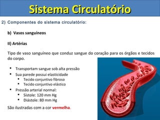 2) Componentes do sistema circulatório:
b) Vasos sanguíneos
II) Artérias
Tipo de vaso sanguíneo que conduz sangue do coração para os órgãos e tecidos
do corpo.
 Transportam sangue sob alta pressão
 Sua parede possui elasticidade
 Tecido conjuntivo fibroso
 Tecido conjuntivo elástico
 Pressão arterial normal:
 Sístole: 120 mm Hg
 Diástole: 80 mm Hg
Sistema CirculatórioSistema Circulatório
São ilustradas com a cor vermelha.
 