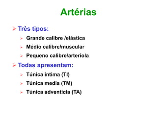 Artérias
 Três tipos:
 Grande calibre /elástica
 Médio calibre/muscular
 Pequeno calibre/arteríola
 Todas apresentam:
 Túnica intima (TI)
 Túnica media (TM)
 Túnica adventícia (TA)
 