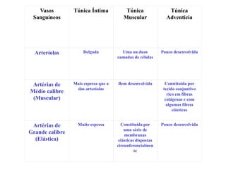 Vasos
Sanguíneos
Túnica Íntima Túnica
Muscular
Túnica
Adventicia
Arteríolas Delgada Uma ou duas
camadas de células
Pouco desenvolvida
Artérias de
Médio calibre
(Muscular)
Mais espessa que a
das arteríolas
Bem desenvolvida Constituída por
tecido conjuntivo
rico em fibras
colágenas e com
algumas fibras
elásticas
Artérias de
Grande calibre
(Elástica)
Muito espessa Constituída por
uma série de
membranas
elásticas dispostas
circunferencialmen
te
Pouco desenvolvida
 