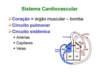 Sistema Cardiovascular
Coração = órgão muscular – bomba
Circuito pulmonar
Circuito sistêmico
 Artérias
 Capilares
 Veias
 