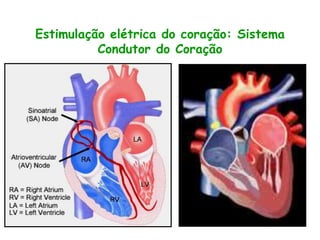 Estimulação elétrica do coração: Sistema
Condutor do Coração
 