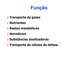 Função
 Transporte de gases
 Nutrientes
 Restos metabólicos
 Hormônios
 Substâncias sinalizadoras
 Transporte de células de defesa
 