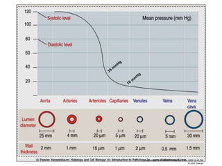Downloaded from: StudentConsult (on 6 July 2009 04:43 PM)
© 2005 Elsevier
 
