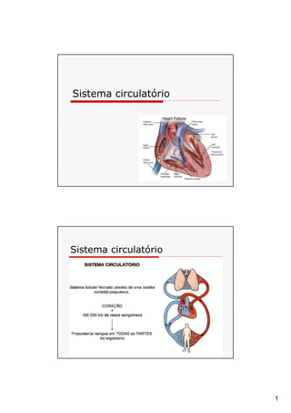 1
Sistema circulatório
Sistema circulatório
 