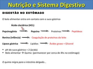 Nutrição e Sistema Digestivo DIGESTÃO NO ESTÔMAGO O bolo alimentar entra em contato com o suco gástrico Ácido clorídrico (HCL) Pepsinogênio  Pepsina  Proteínas  Peptídeos Renina (infância)  Coagulação de proteínas do leite Lipase gástrica  Lipídios  Ácidos graxo + Glicerol pH do suco gástrico = 2 (ácido) Bolo alimentar    Quimo  (permanecer por cerca de 4hs no estômago) O quimo migra para o intestino delgado... 