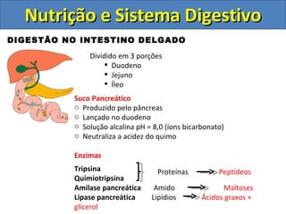 Nutrição e Sistema Digestivo DIGESTÃO NO INTESTINO DELGADO Dividido em 3 porções Duodeno Jejuno Íleo Suco Pancreático Produzido pelo pâncreas Lançado no duodeno Solução alcalina pH = 8,0 (íons bicarbonato) Neutraliza a acidez do quimo Enzimas Tripsina  Quimiotripsina Amilase pancreática  Amido  Maltoses Lipase pancreática  Lipídios  Ácidos graxos + glicerol Proteínas  Peptídeos   