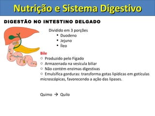 Nutrição e Sistema Digestivo DIGESTÃO NO INTESTINO DELGADO Dividido em 3 porções Duodeno Jejuno Íleo Bile Produzido pelo Fígado Armazenada na vesícula biliar Não contém enzimas digestivas Emulsifica gorduras: transforma gotas lipídicas em gotículas microscópicas, favorecendo a ação das lipases. Quimo     Quilo  