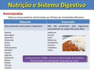 Nutrição e Sistema Digestivo Aminoácidos Todas as nossas proteínas são formadas por 20 tipos de aminoácidos diferentes. A mistura arroz e feijão, comum na alimentação do brasileiro, fornece todos os aminoácidos essenciais ao corpo. Naturais Essenciais São produzidos pelo próprio organismo Não são produzidos pelo organismo, necessitando ser adquiridos pela dieta Alanina  Asparagina  Aspartato  Glutamato  Serina  Cistina  Hidroxiprolina  Histidina Taurina  Arginina  Glutamina  Glicina  Prolina  Tirosina  Cisteína  Isoleucina  Leucina  Lisina  Metionina  Fenilalanina  Treonina  Triptofano Valina  