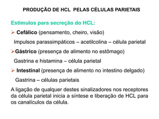 PRODUÇÃO DE HCL PELAS CÉLULAS PARIETAIS
Estímulos para secreção do HCL:
 Cefálico (pensamento, cheiro, visão)
Impulsos parassimpáticos – acetilcolina – célula parietal
Gástrico (presença de alimento no estômago)
Gastrina e histamina – célula parietal
 Intestinal (presença de alimento no intestino delgado)
Gastrina – células parietais
A ligação de qualquer destes sinalizadores nos receptores
da célula parietal inicia a síntese e liberação de HCL para
os canalículos da célula.
 