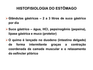 HISTOFISIOLOGIA DO ESTÔMAGO
 Glândulas gástricas – 2 a 3 litros de suco gástrico
por dia
 Suco gástrico – água, HCl, pepsinogênio (pepsina),
lipase gástrica e muco (protetor)
 O quimo é lançado no duodeno (intestino delgado)
de forma intermitente graças a contração
coordenada da camada muscular e o relaxamento
do esfíncter pilórico
 