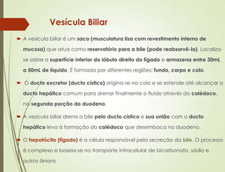 Vesícula Biliar
 A vesícula biliar é um saco (musculatura lisa com revestimento interno de
mucosa) que atua como reservatório para a bile (pode reabsorvê-la). Localiza-
se sobre a superfície inferior do lóbulo direito do fígado e armazena entre 30mL
a 50mL de líquido. É formada por diferentes regiões: fundo, corpo e colo.
 O ducto excretor (ducto cístico) origina-se no colo e se estende até alcançar o
ducto hepático comum para drenar finalmente o fluido através do colédoco,
na segunda porção do duodeno.
 A vesícula biliar drena a bile pelo ducto cístico e sua união com o ducto
hepático leva à formação do colédoco que desemboca no duodeno.
 O hepatócito (fígado) é a célula responsável pela secreção da bile. O processo
é complexo e baseia-se no transporte intracelular de bicarbonato, sódio e
outros ânions
 