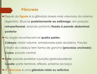 Pâncreas
Depois do fígado é a glândula anexa mais volumosa do sistema
digestório. Situa-se posteriormente ao estômago, em posição
retroperitoneal, estando portanto fixada à parede abdominal
posterior
No órgão reconhecem-se quatro partes:
Cabeça: Maior volume, emoldurada pelo duodeno. Porção
inferior da cabeça tem forma de gancho (processo uncinado)
Corpo: porção central
Colo: porção posterior a junção gastroduodenal
Cauda: parte terminal, afilada, próxima ao baço
O pâncreas é uma glândula mista ou anfícrina
 