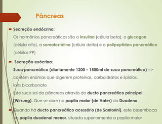 Pâncreas
 Secreção endócrina:
Os hormônios pancreáticos são a insulina (célula beta), o glucagon
(célula alfa), a somatostatina (célula delta) e o polipeptídeo pancreático
(células PP)
 Secreção exócrina:
Suco pancreático (diariamente 1200 – 1500ml de suco pancreático) =>
contém enzimas que digerem proteínas, carboidratos e lipídios.
Íons bicarbonato
Este suco sai do pâncreas através do ducto pancreático principal
(Wirsung). Que se abre na papila maior (de Vater) do Duodeno
 Quando há ducto pancreático acessório (de Santorini), este desemboca
na papila duodenal menor, situada superiormente a papila maior
 