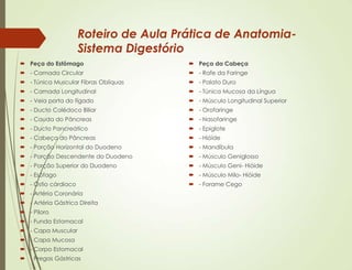 Roteiro de Aula Prática de Anatomia-
Sistema Digestório
 Peça do Estômago
 - Camada Circular
 - Túnica Muscular Fibras Oblíquas
 - Camada Longitudinal
 - Veia porta do fígado
 - Ducto Colédoco Biliar
 - Cauda do Pâncreas
 - Ducto Pancreático
 - Cabeça do Pâncreas
 - Porção Horizontal do Duodeno
 - Porção Descendente do Duodeno
 - Porção Superior do Duodeno
 - Esôfago
 - Óstio cárdiaco
 - Artéria Coronária
 - Artéria Gástrica Direita
 - Piloro
 - Funda Estomacal
 - Capa Muscular
 - Capa Mucosa
 - Corpo Estomacal
 - Pregas Gástricas
 Peça da Cabeça
 - Rafe da Faringe
 - Palato Duro
 - Túnica Mucosa da Língua
 - Músculo Longitudinal Superior
 - Orofaringe
 - Nasofaringe
 - Epiglote
 - Hióide
 - Mandíbula
 - Músculo Geniglosso
 - Músculo Geni- Hióide
 - Músculo Milo- Hióide
 - Forame Cego
 