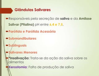 Glândulas Salivares
Responsáveis pela secreção de saliva e da Amilase
Salivar (Ptialina) pH entre 6,4 e 7,5.
Parótida e Parótida Acessória
Submandibulares
Sublinguais
Salivares Menores
*Insalivação: Trata-se da ação da saliva sobre os
alimentos
Xerostomia: Falta de produção de saliva
 