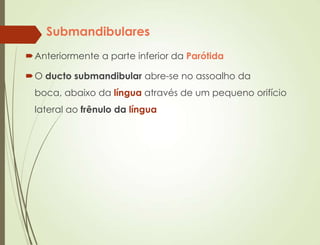Submandibulares
Anteriormente a parte inferior da Parótida
O ducto submandibular abre-se no assoalho da
boca, abaixo da língua através de um pequeno orifício
lateral ao frênulo da língua
 