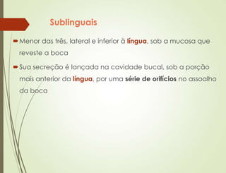 Sublinguais
Menor das três, lateral e inferior à língua, sob a mucosa que
reveste a boca
Sua secreção é lançada na cavidade bucal, sob a porção
mais anterior da língua, por uma série de orifícios no assoalho
da boca
 