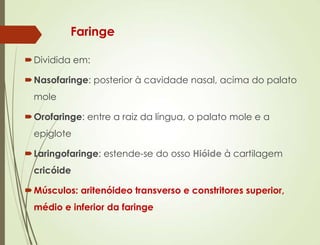 Faringe
Dividida em:
Nasofaringe: posterior à cavidade nasal, acima do palato
mole
Orofaringe: entre a raiz da língua, o palato mole e a
epiglote
Laringofaringe: estende-se do osso Hióide à cartilagem
cricóide
Músculos: aritenóideo transverso e constritores superior,
médio e inferior da faringe
 