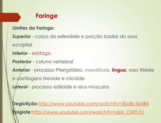 Faringe
Limites da Faringe:
Superior - corpo do esfenóide e porção basilar do osso
occipital
Inferior - esôfago
Posterior - coluna vertebral
Anterior - processo Pterigóideo, mandíbula, língua, osso Hióide
e cartilagens tireoide e cricóide
Lateral - processo estiloide e seus músculos
Deglutição:http://www.youtube.com/watch?v=3So8z-Xk4B4
Epiglote:http://www.youtube.com/watch?v=yipk_CNTh7U
 