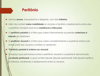 Peritônio
 Lâmina serosa, transparente e delgada, com dois folhetos
 Além de conferir maior mobilidade às vísceras e facilitar o deslizamento entre elas,
o peritônio também promove resistência a infecções.
 O peritônio parietal é a folha que cobre internamente as paredes anteriores e
laterais do abdómen
 O peritônio visceral é a folha que cobre completamente a superfície externa da
maior parte das vísceras contidas no abdómen
 *Peritônio parietal é externo ao visceral
 O espaço que permanece entre o peritônio visceral e o parietal é denominado
cavidade peritoneal, a qual contém líquido (líquido peritoneal). Este líquido lubrifica
os folhetos, facilitando o deslizamento entre as vísceras.
 