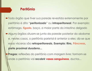 Peritônio
Todo órgão que tiver sua parede revestida externamente por
peritônio é dito “peritonizado” ou intraperitoneal. Por exemplo:
estômago, fígado, baço, a maior parte do intestino delgado
Alguns órgãos situam-se junto da parede posterior do abdome
e, nestes casos, o peritônio parietal é anterior a eles: diz-se que
essas vísceras são retroperitoneais. Exemplo: Rins, Pâncreas,
parte proximal duodeno...
Pregas: reflexões do peritônio com margem livre; formam-se
onde o peritônio vai recobrir vasos sanguíneos, ductos...
 
