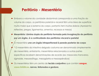 Peritônio - Mesentério
 Embora o volume da cavidade abdominal corresponda a uma fração do
volume do corpo, os peritônios parietal e visceral têm uma área de superfície
muito maior que a externa do corpo, portanto tem muitas dobras (Apresenta:
reflexões, pregas, ligamentos, omentos, recessos e mesos)
 Mesentério: Lâmina dupla do peritônio formada pela Invaginação do peritônio
por um órgão, é a continuidade dos peritônios visceral e parietal
 O mesentério une um órgão intraperitoneal à parede posterior do corpo
 * O mesentério do intestino delgado costuma ser denominado simplesmente
de mesentério, entretanto, mesentérios relacionados a outras partes
específicas recebem denominações de acordo (ex: mesocolos transverso,
sigmoide, mesoesôfago, mesogástrio e mesoapêndice)
 Os mesentérios têm um centro de tecido conjuntivo que contém sangue,
vasos linfáticos, nervos, linfonodos e gordura.
 