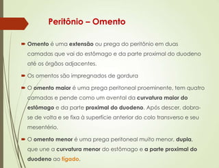 Peritônio – Omento
 Omento é uma extensão ou prega do peritônio em duas
camadas que vai do estômago e da parte proximal do duodeno
até os órgãos adjacentes.
 Os omentos são impregnados de gordura
 O omento maior é uma prega peritoneal proeminente, tem quatro
camadas e pende como um avental da curvatura maior do
estômago e da parte proximal do duodeno. Após descer, dobra-
se de volta e se fixa à superfície anterior do colo transverso e seu
mesentério.
 O omento menor é uma prega peritoneal muito menor, dupla,
que une a curvatura menor do estômago e a parte proximal do
duodeno ao fígado.
 